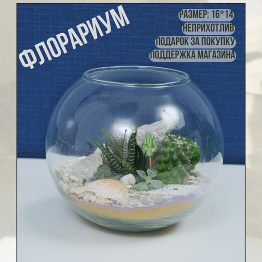 Флорариум "трансформация"