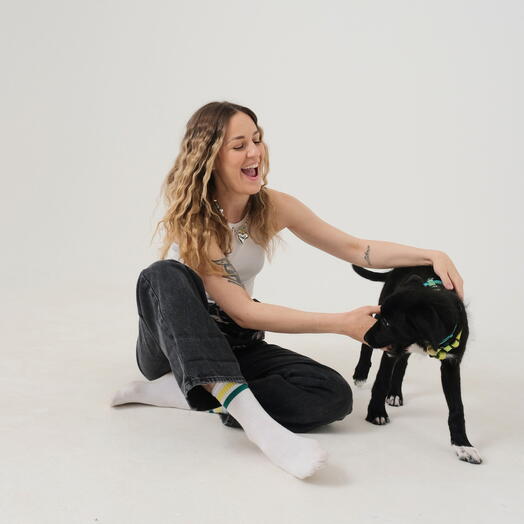 Подарочный сертификат «Фотосессия с питомцем» (2,5-3 часа, 1 человек)