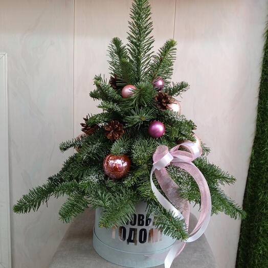 Ёлочка из нобилиса