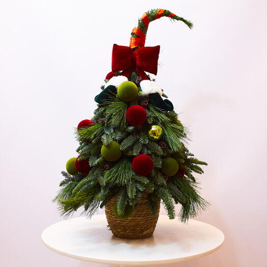 Ёлка Grinch(Гринча) из нобилиса и пинуса в плетеном кашпо в единственном экземпляре