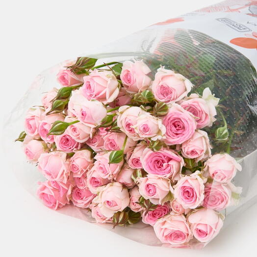 Пачка роз (10 штук) Кэйт Линн, 50 см