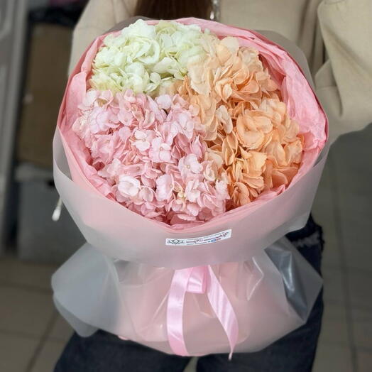 Мисс гортензия