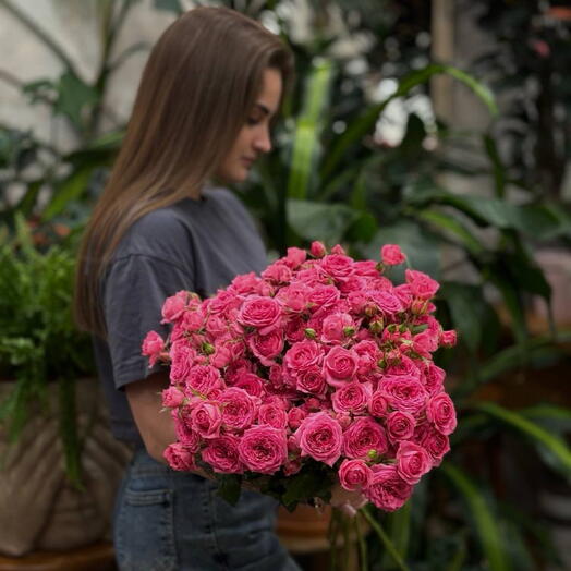 Роза Кустовая пионовидная «Pink»