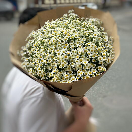 Букет ромашек