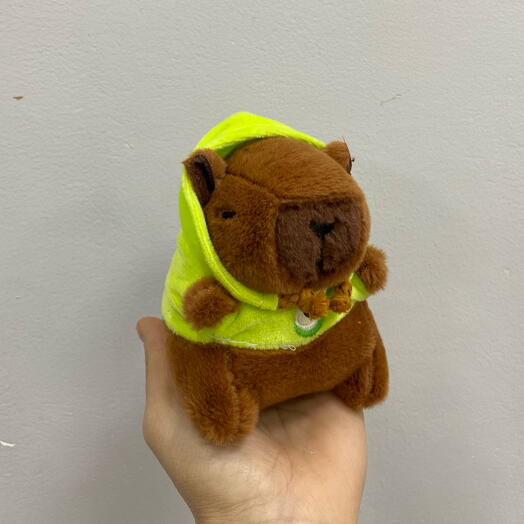 Капибара в зеленом капюшоне