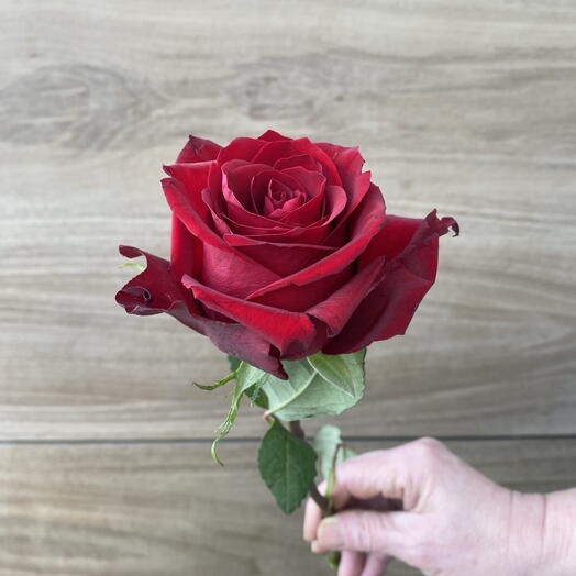 Вечно красная роза