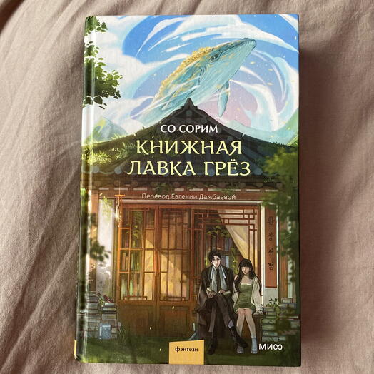 Книга - Книжная лавка грез