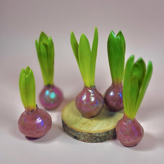 Цветущий гиацинт в воске без полива 1 шт