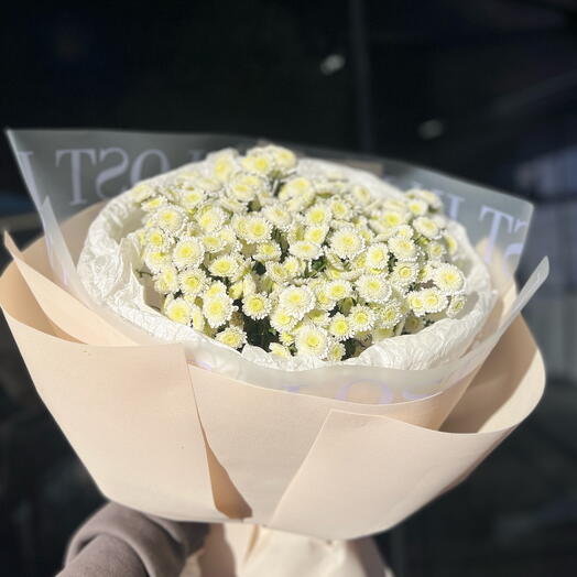 Букет ромашка Сталлион 💞