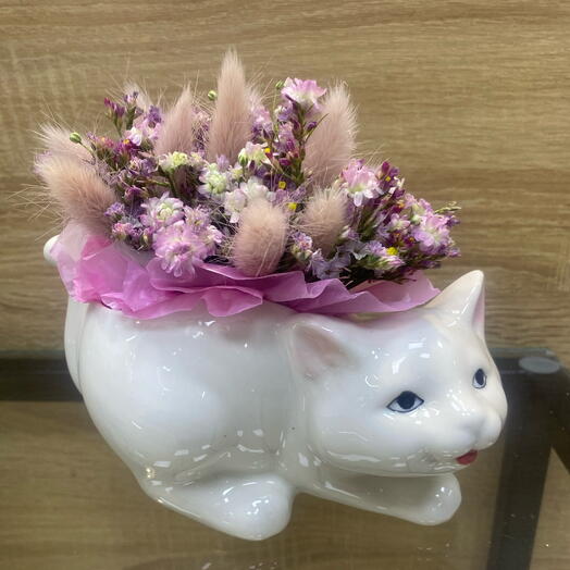 Композиция в кашпо Кошка