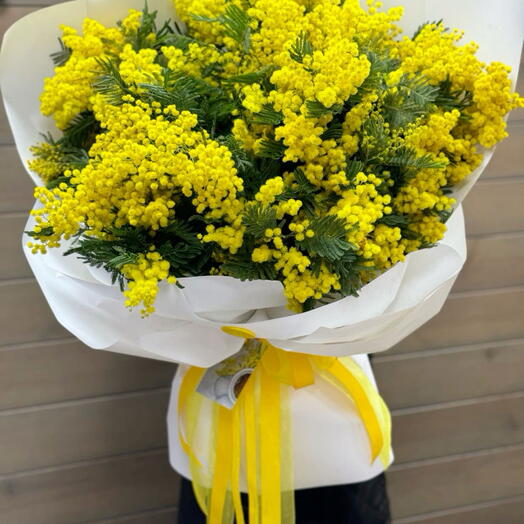 Мимоза букеты