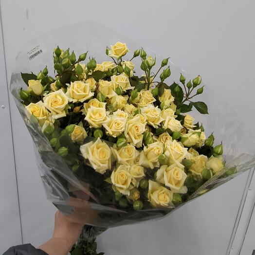 Роза кустовая Гала Голд 70 см, упаковка 10 штук