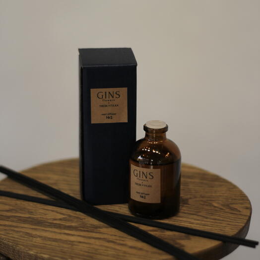 Диффузор Gins 2 50 мл