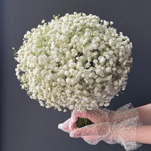 Букет невесты 👰‍♀️Плотная сборка 🤍Букет с гипсофилой Гипсофила Свадебный букет