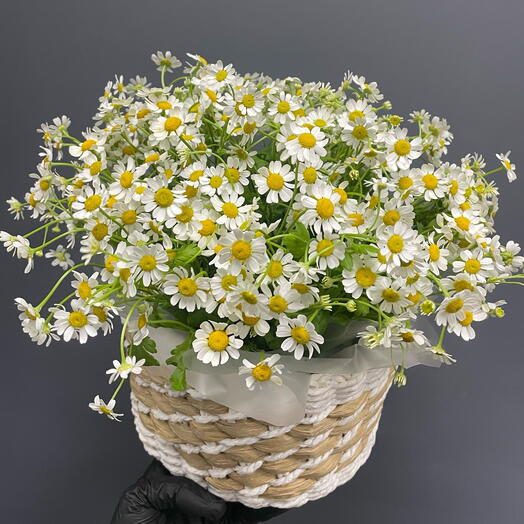 Корзина с ромашками