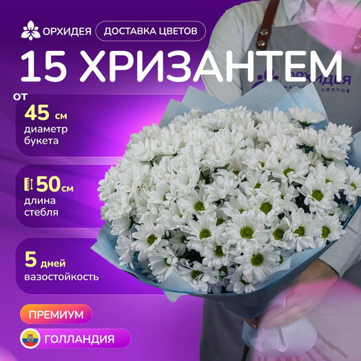 15 хризантем бакарди белая