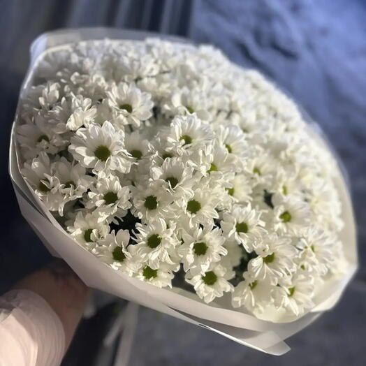 Букет из 19 кустовой хризантемы