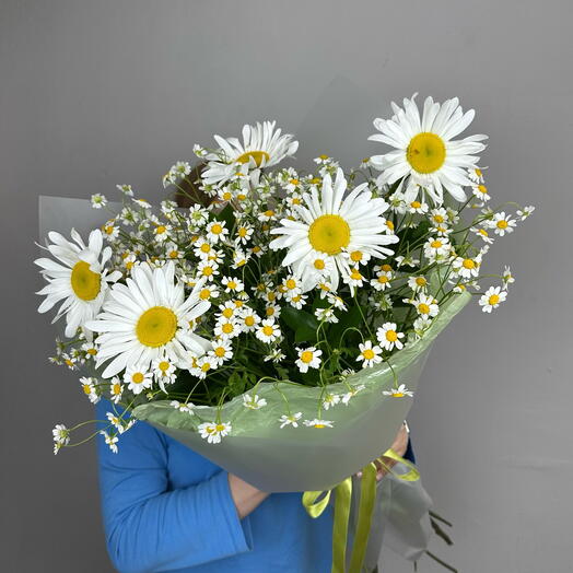 Ромашки🌼 Летний дофамин