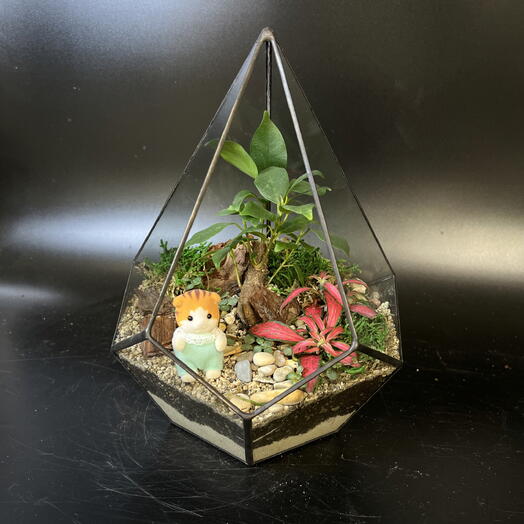 Флорариум sylvanian families с мини бонсаем, подарок девушке