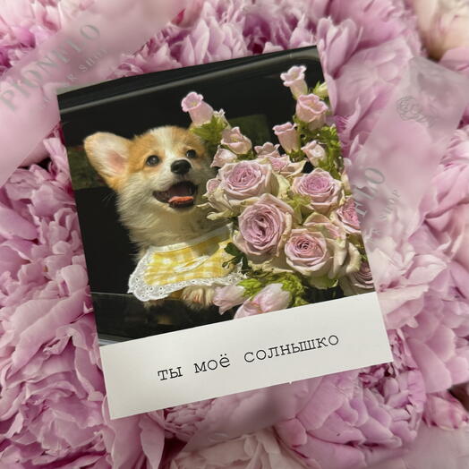 Открытка 😍