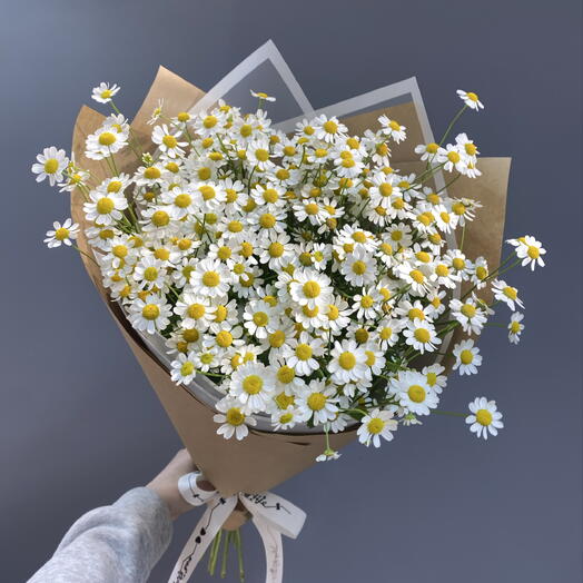 🌼Полевая ромашка/танацетум