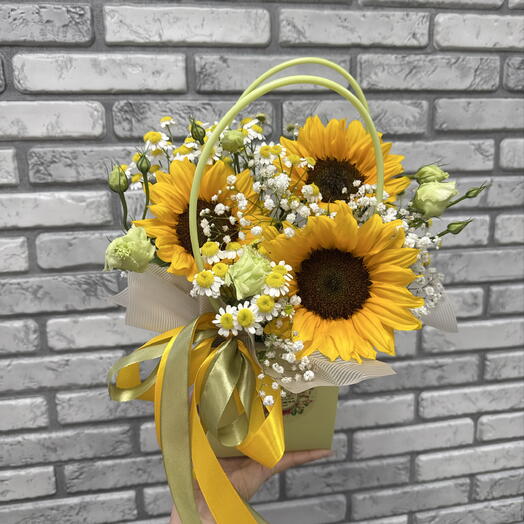 Подсолнух 🌻