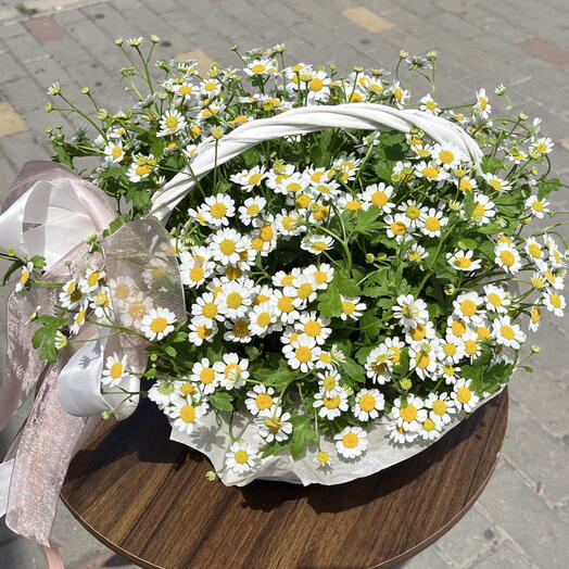 Ромашка в корзине