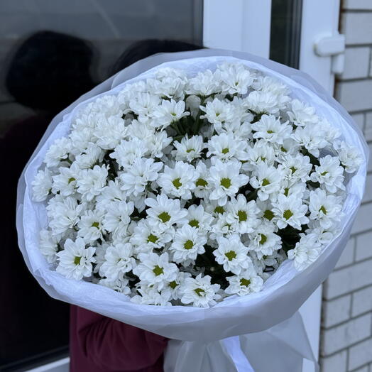 Букет белых ромашек🌸