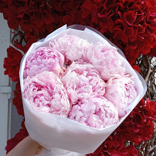 Нежный букет из пионов 🌸💕