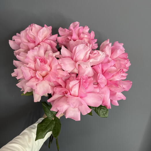Большое моно из французских роз🌸