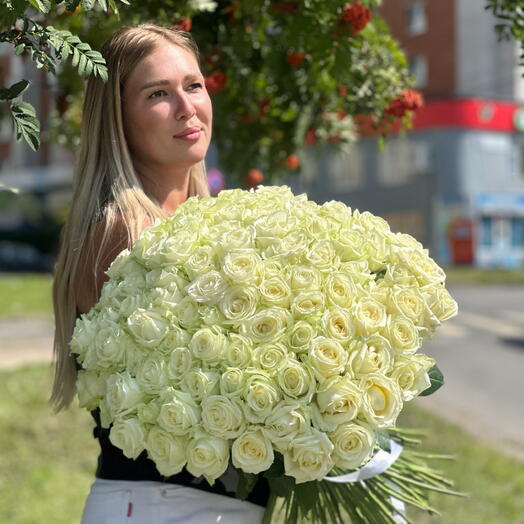 101 Роза Российская Аваланш под ленту