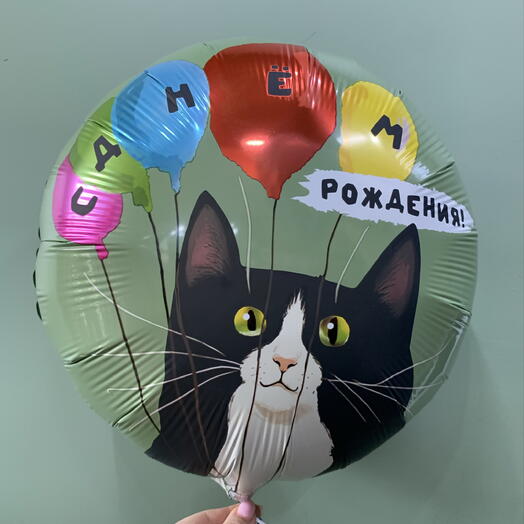 Шар ,,С днем рождения котик