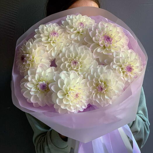 Георгины🌸