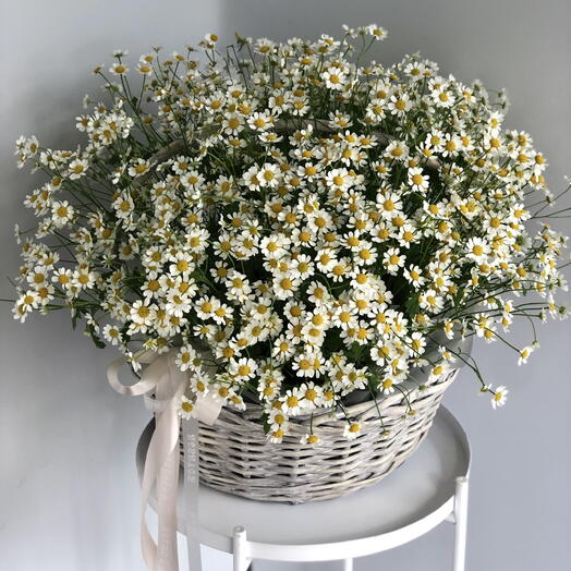 Корзина с ромашками