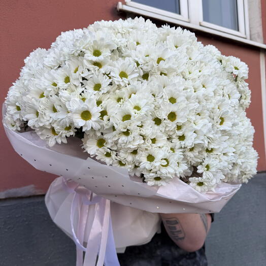 Огромный букет ~301 ромашка (31 веточка)