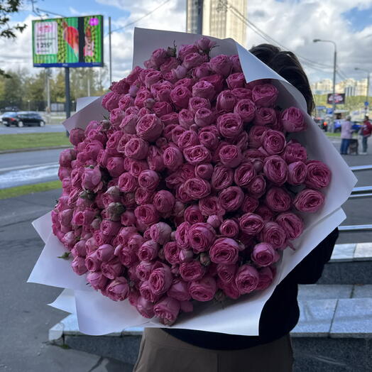 Кустовые пионовидные розы 51