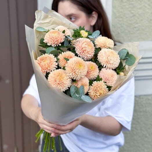 Нежный букет из 5 кремовых астр с эвкалиптом в упаковке