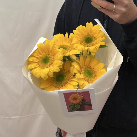 Подсолнухи 🌻