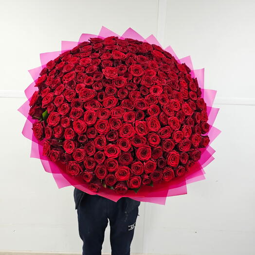 Букет из 301 шт роз 🔥🔥🔥♥️♥️♥️♥️♥️🌹🥰