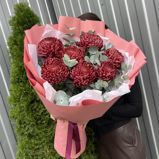 Хризантема шоколад 💝