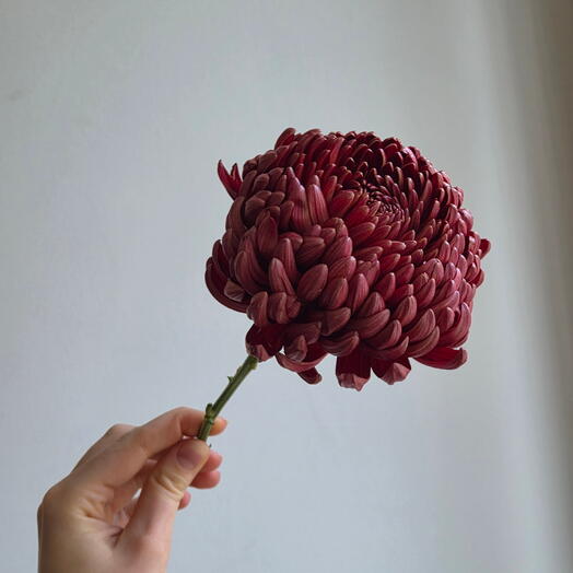 Пространство🌸