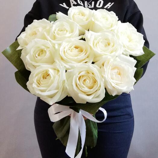 White Rose