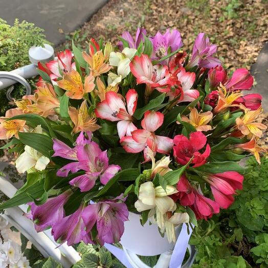 Flowers in the"Fountain Spray" box