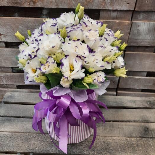 Lilac cloud