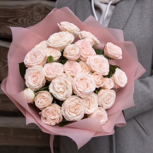 Bush roses 15