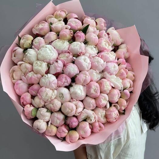 Букет из 101 пиона Gardenia