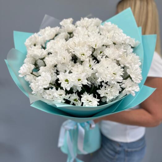 Bouquet Of Snow-White Chrysanthemums