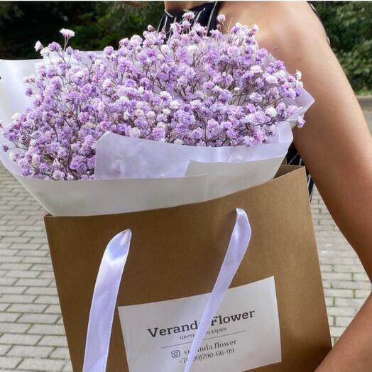 Сиреневая гипсофила 💜
