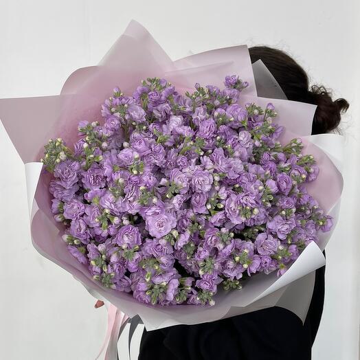 29 кустовых маттиол
