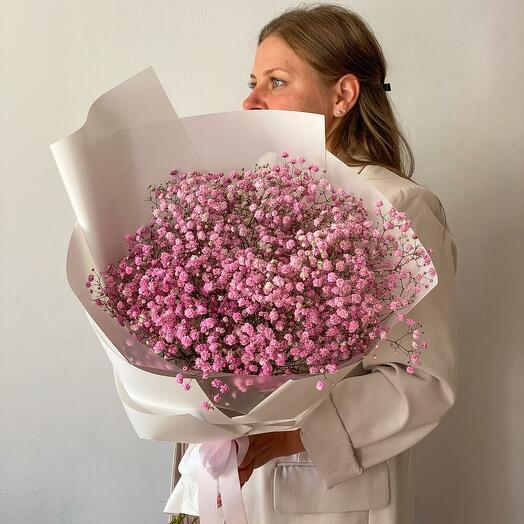 Bouquet of pink gypsophilas